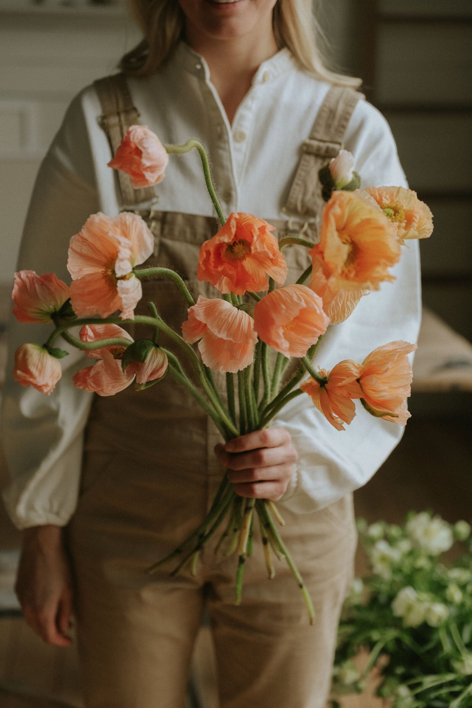 Artic Poppy - Corallo