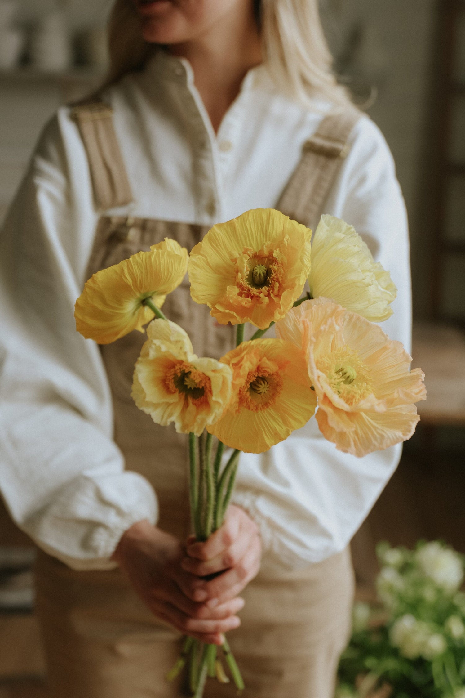 Artic Poppy - Giallo Chiaro