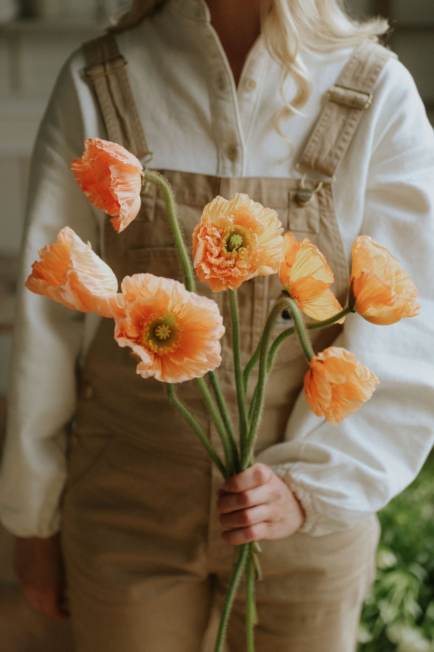 Artic Poppy - Salmone