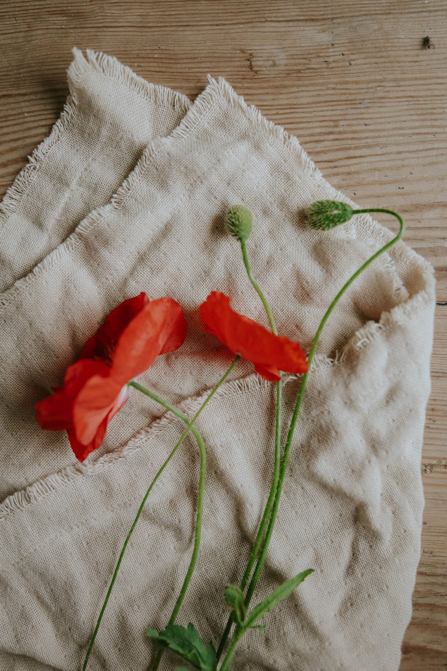 Vallmo - Single Red, English Poppy EKO