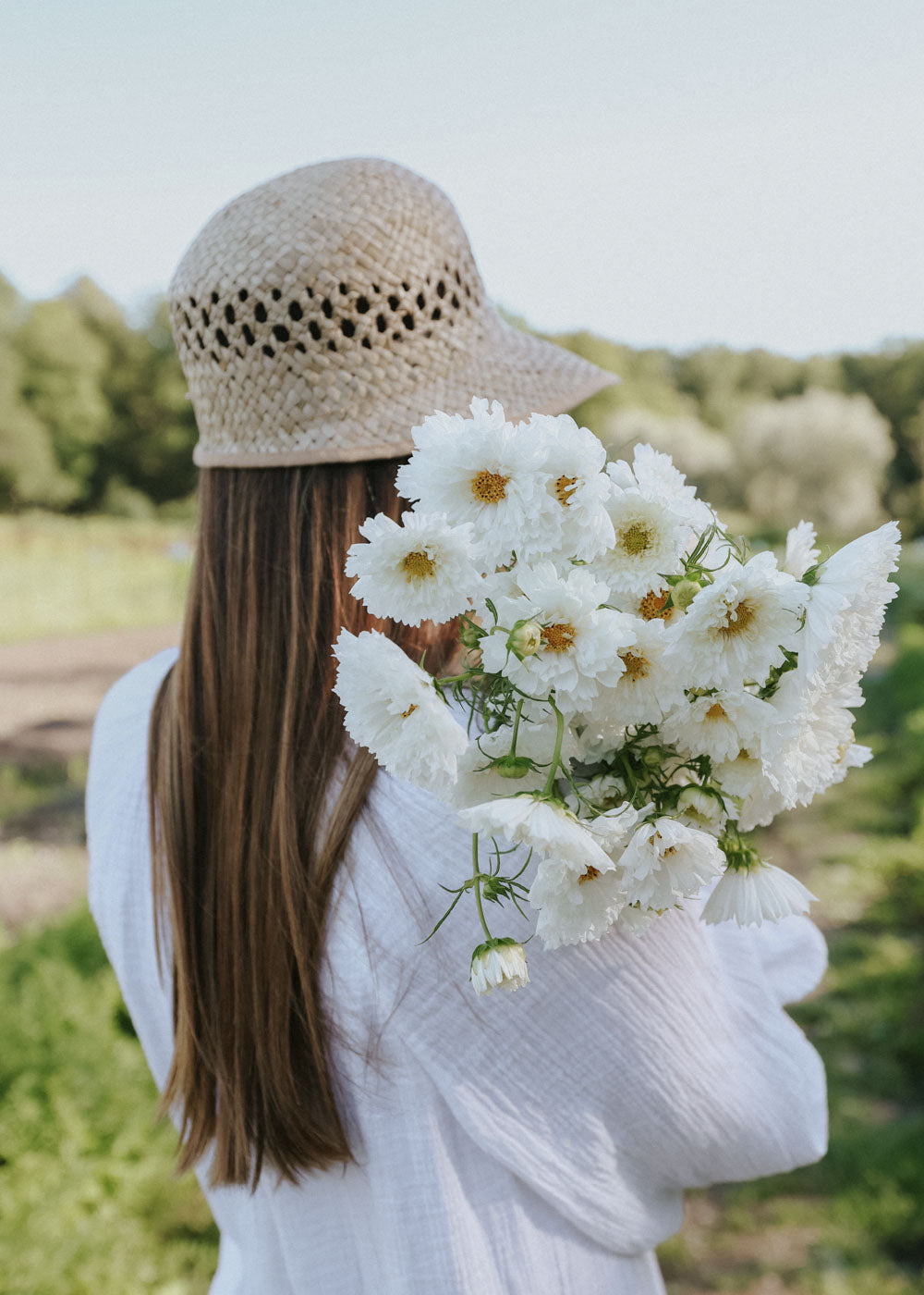 Cosmos - Double Click Snowpuff