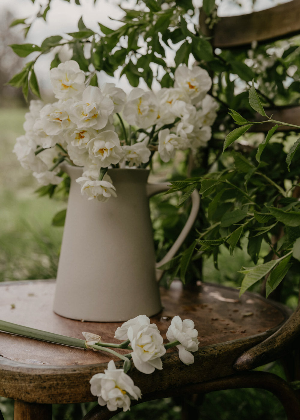 Narcissus - Bridal Crown