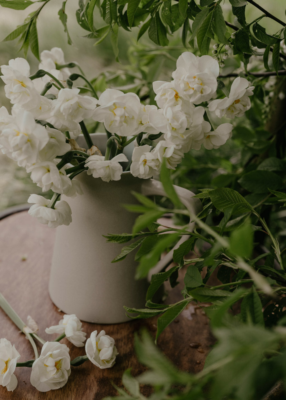 Narcissus - Bridal Crown EKO