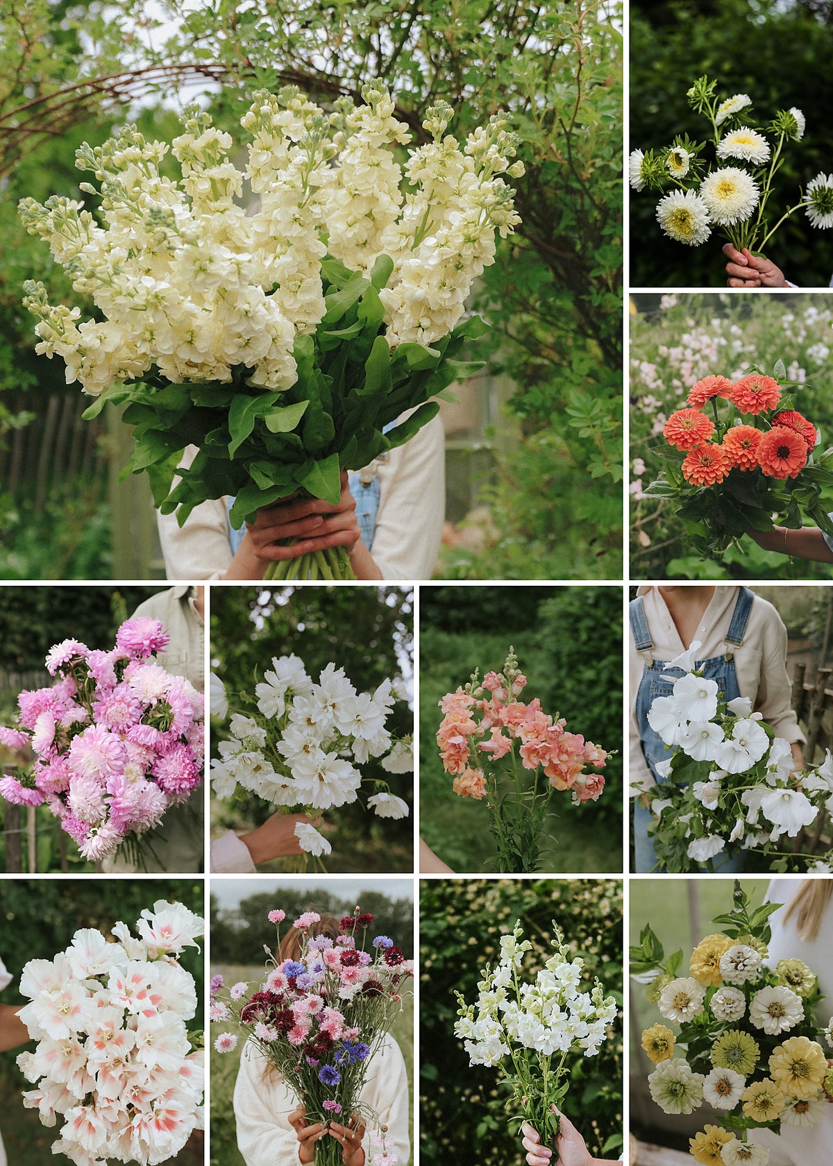 Green November - Grow Your Own Cut Flower Garden