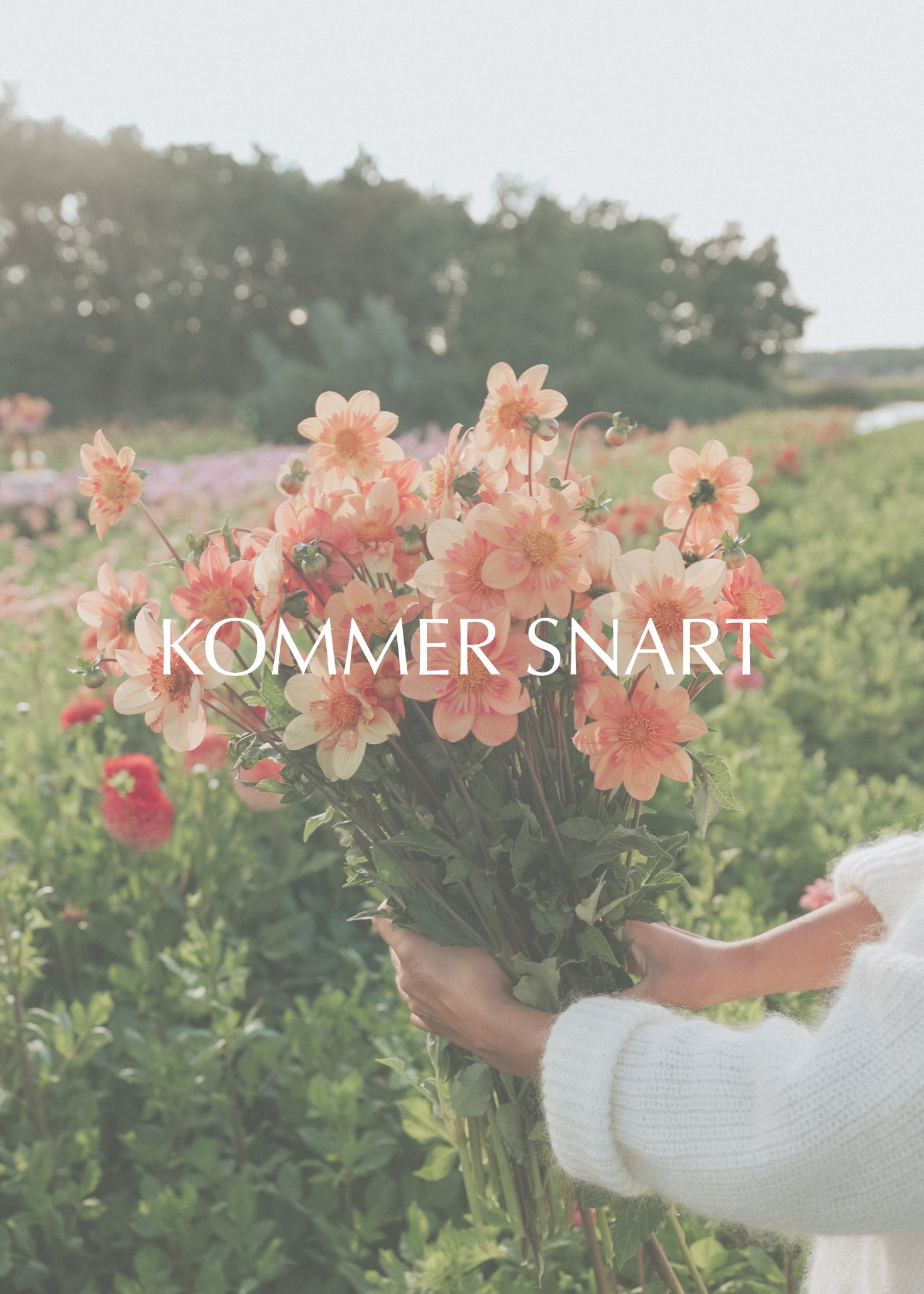 Dahlia - Kelsey Annie Joy