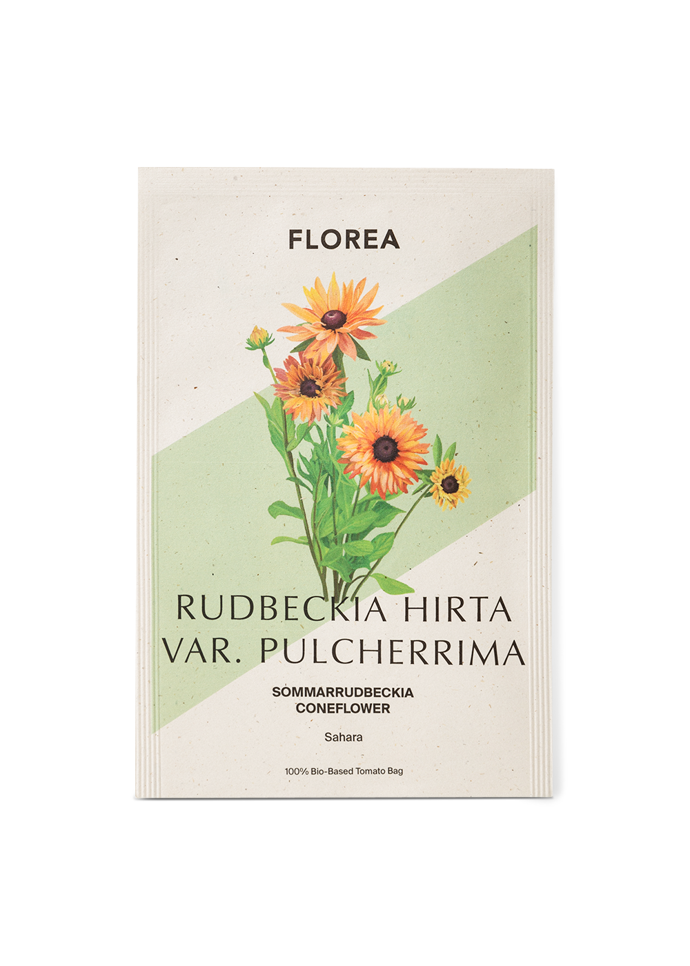 Sommarrudbeckia - Sahara