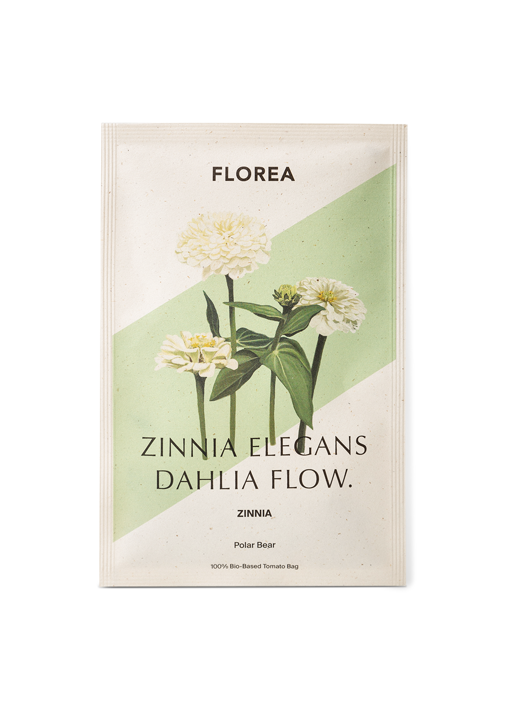 Zinnia - Dahl Flow Polar Bear