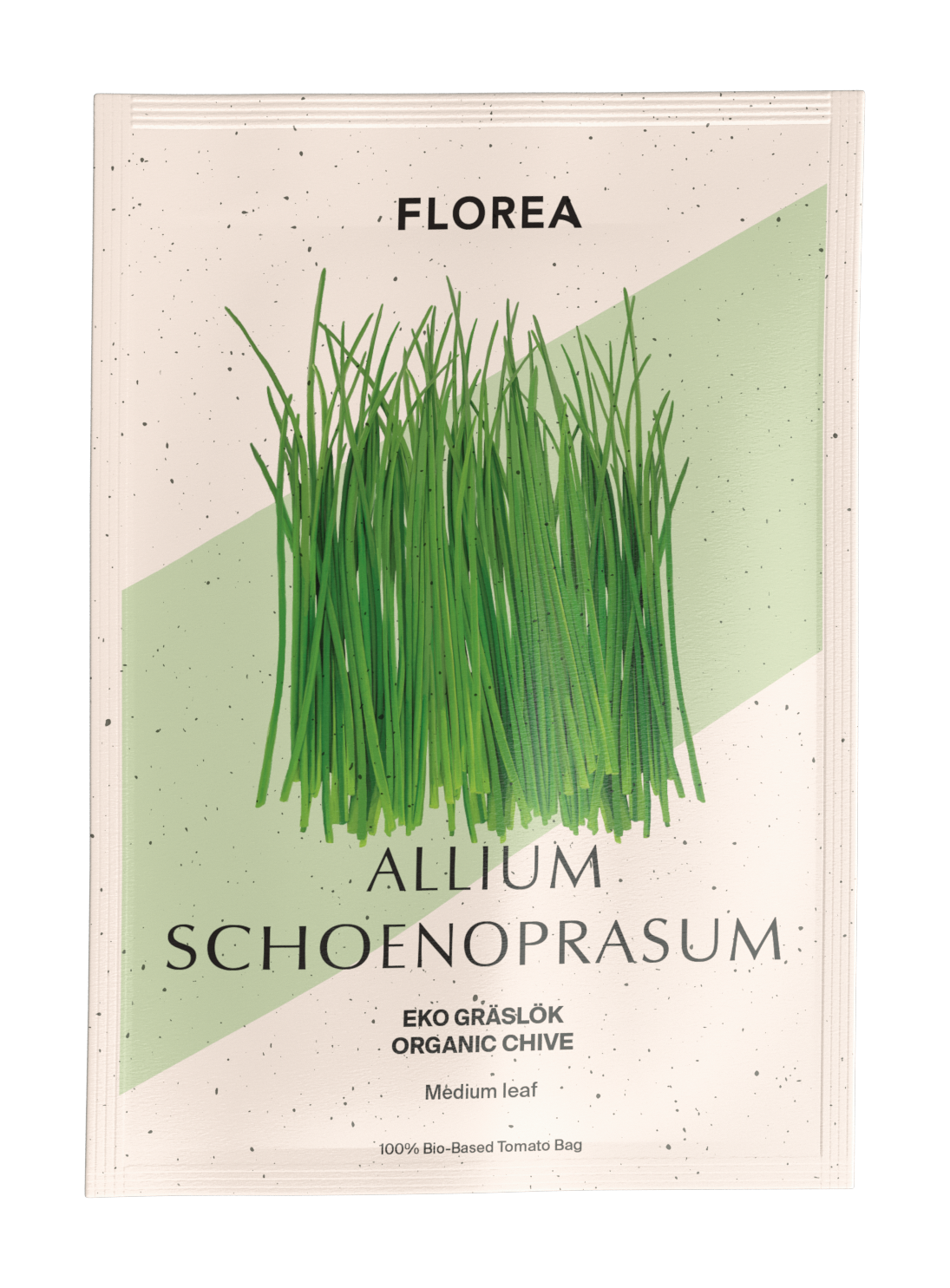 Chives - Medium Leaf EKO