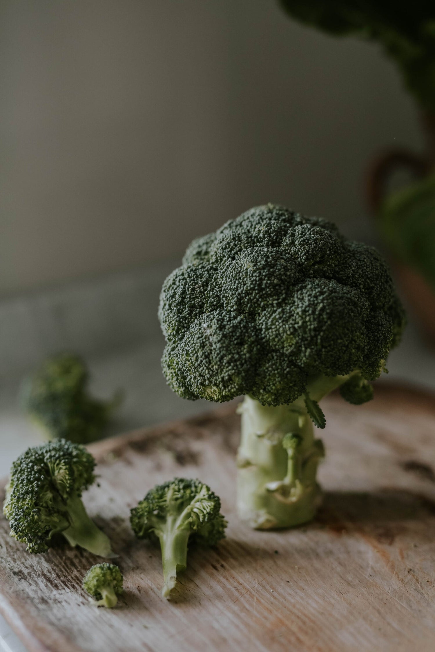 Brokkoli - Calabrese Natalino EKO