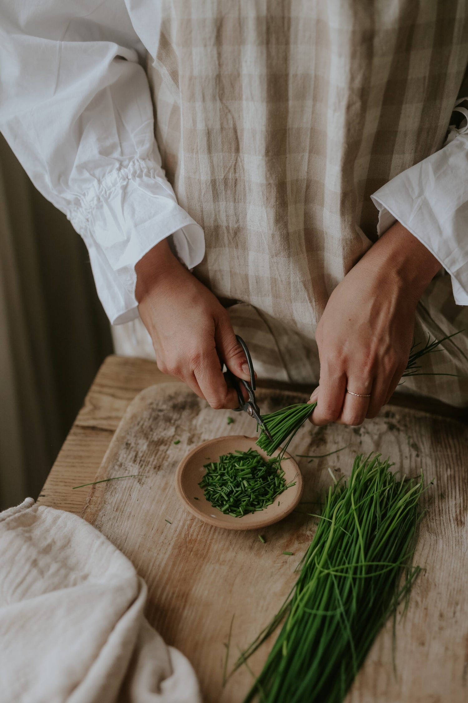 Chives - Medium Leaf EKO