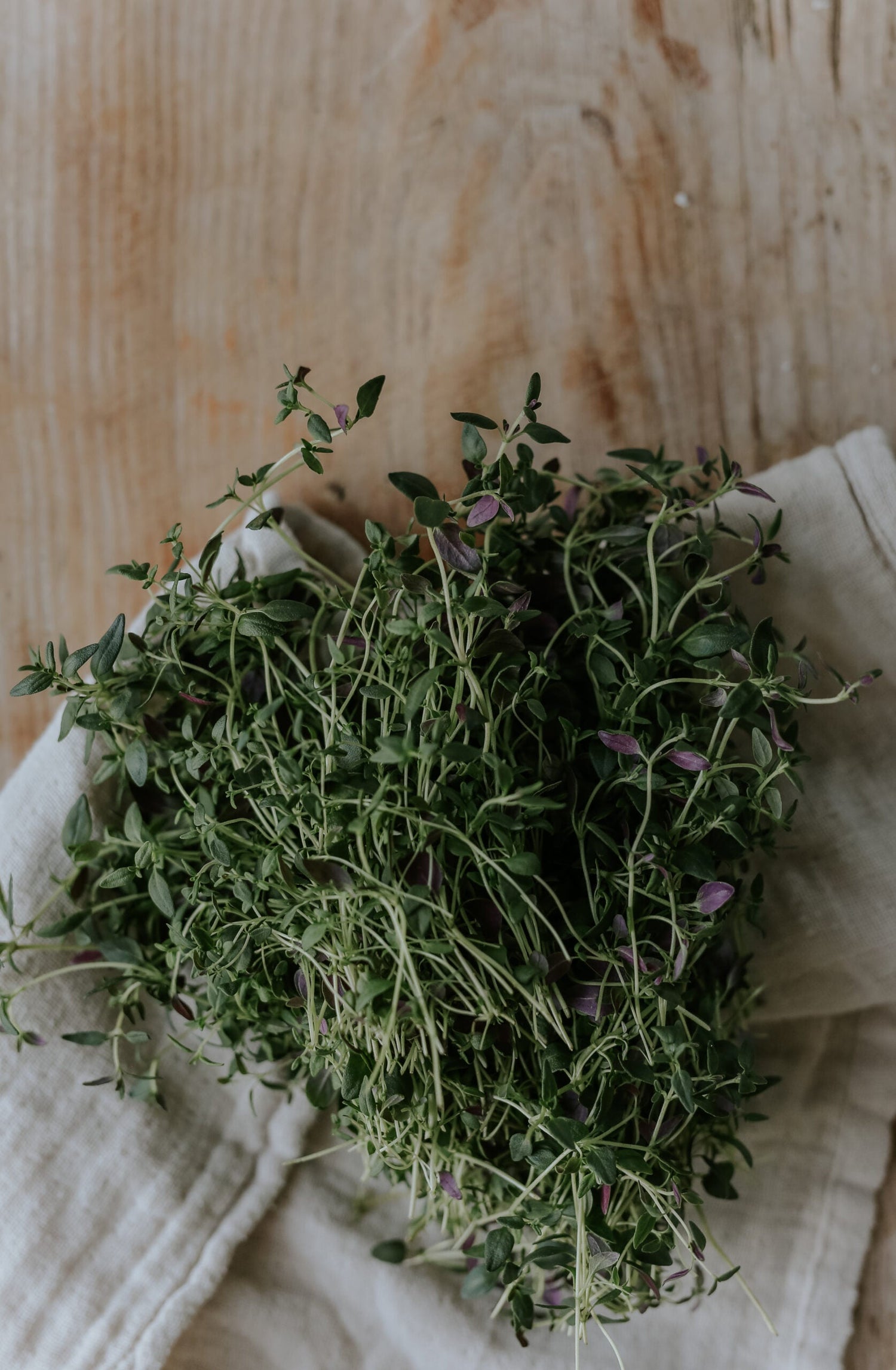 Thyme ECO