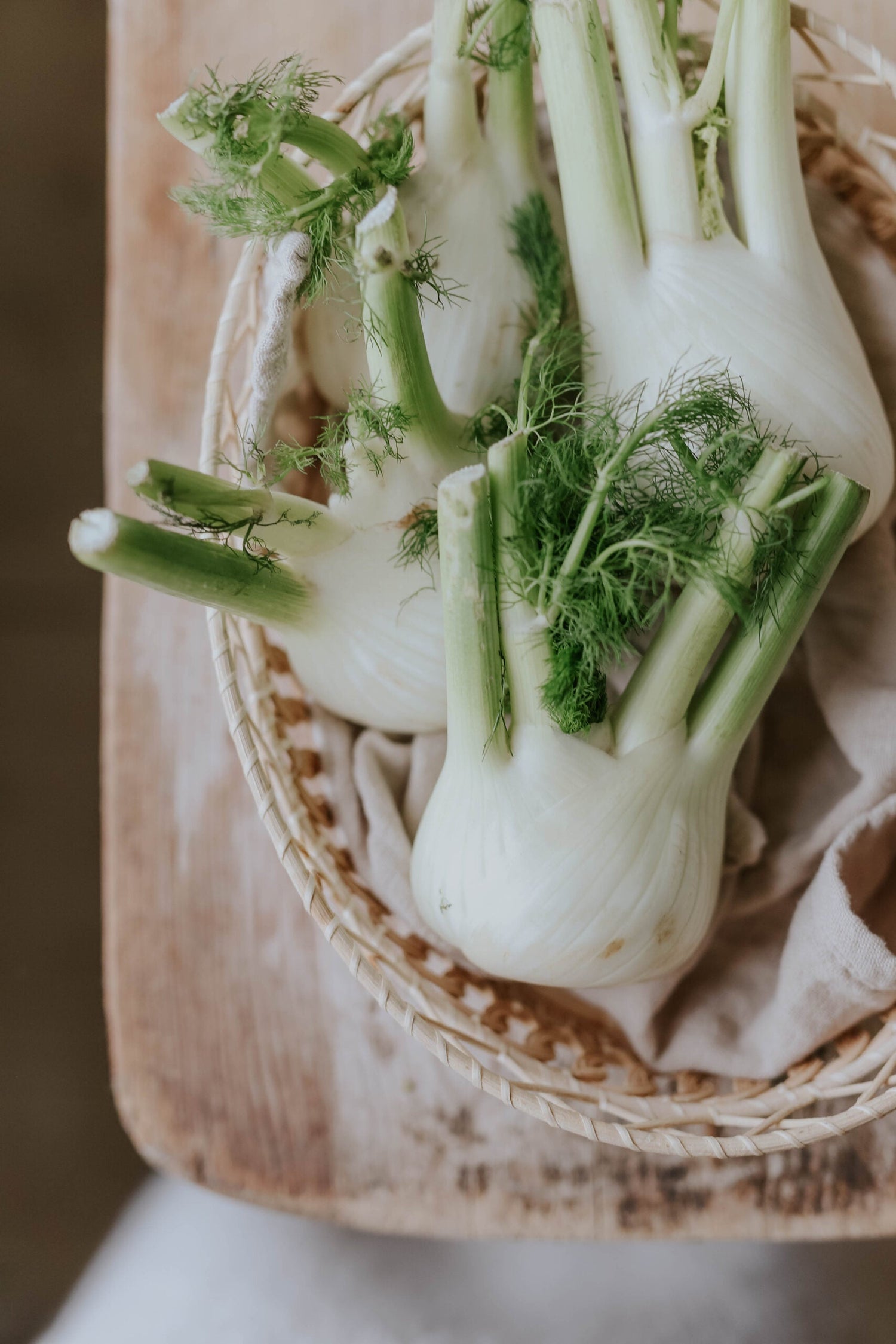 Sweet Fennel - Fino
