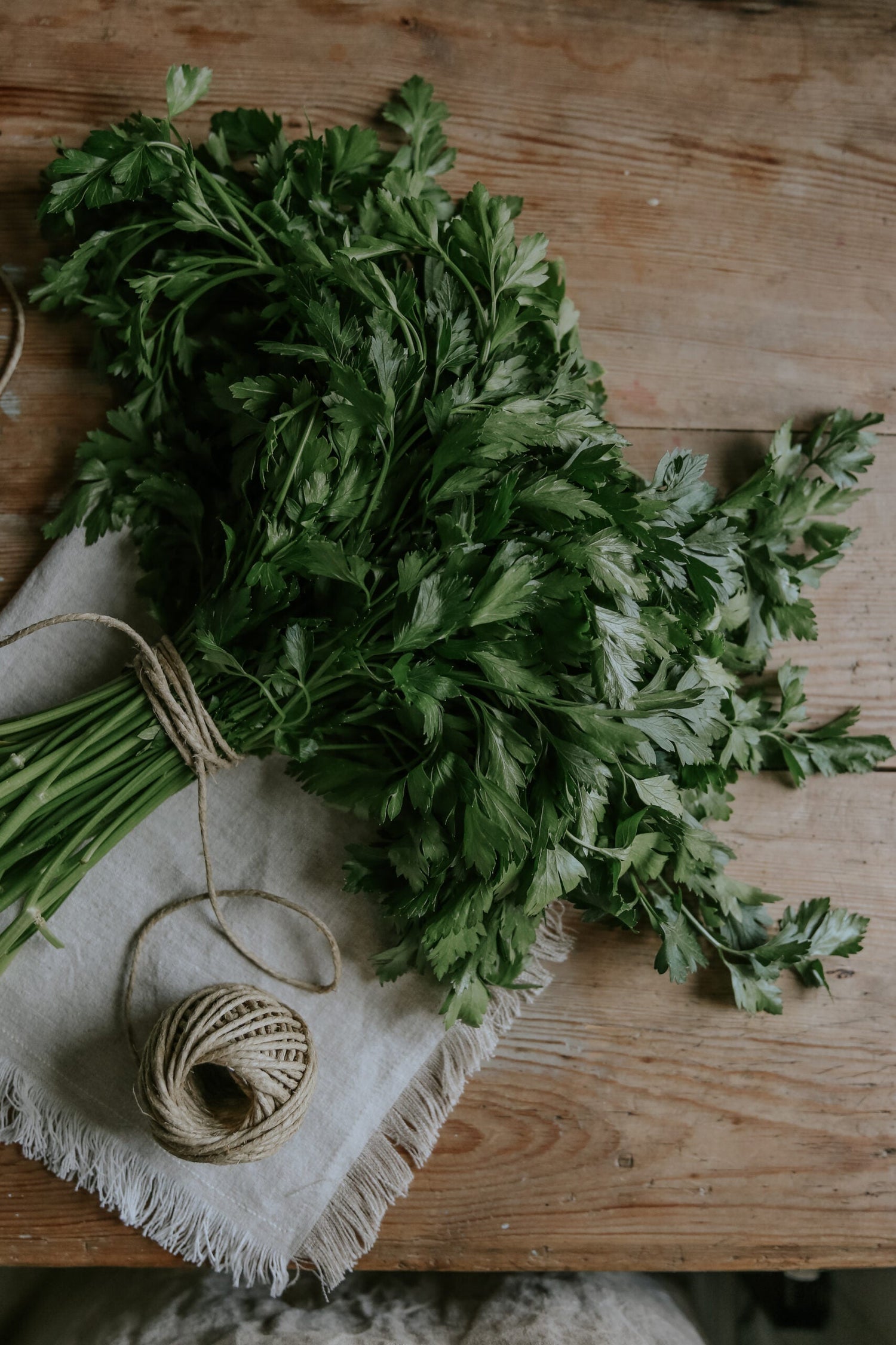 Parsley - Gigante d'Italia ECO