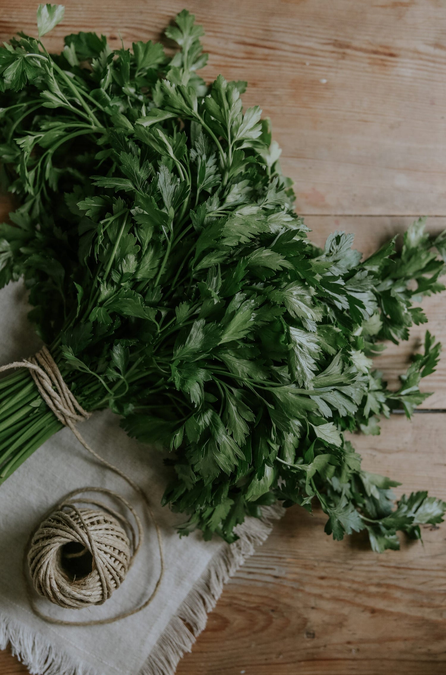 Parsley - Gigante d'Italia ECO