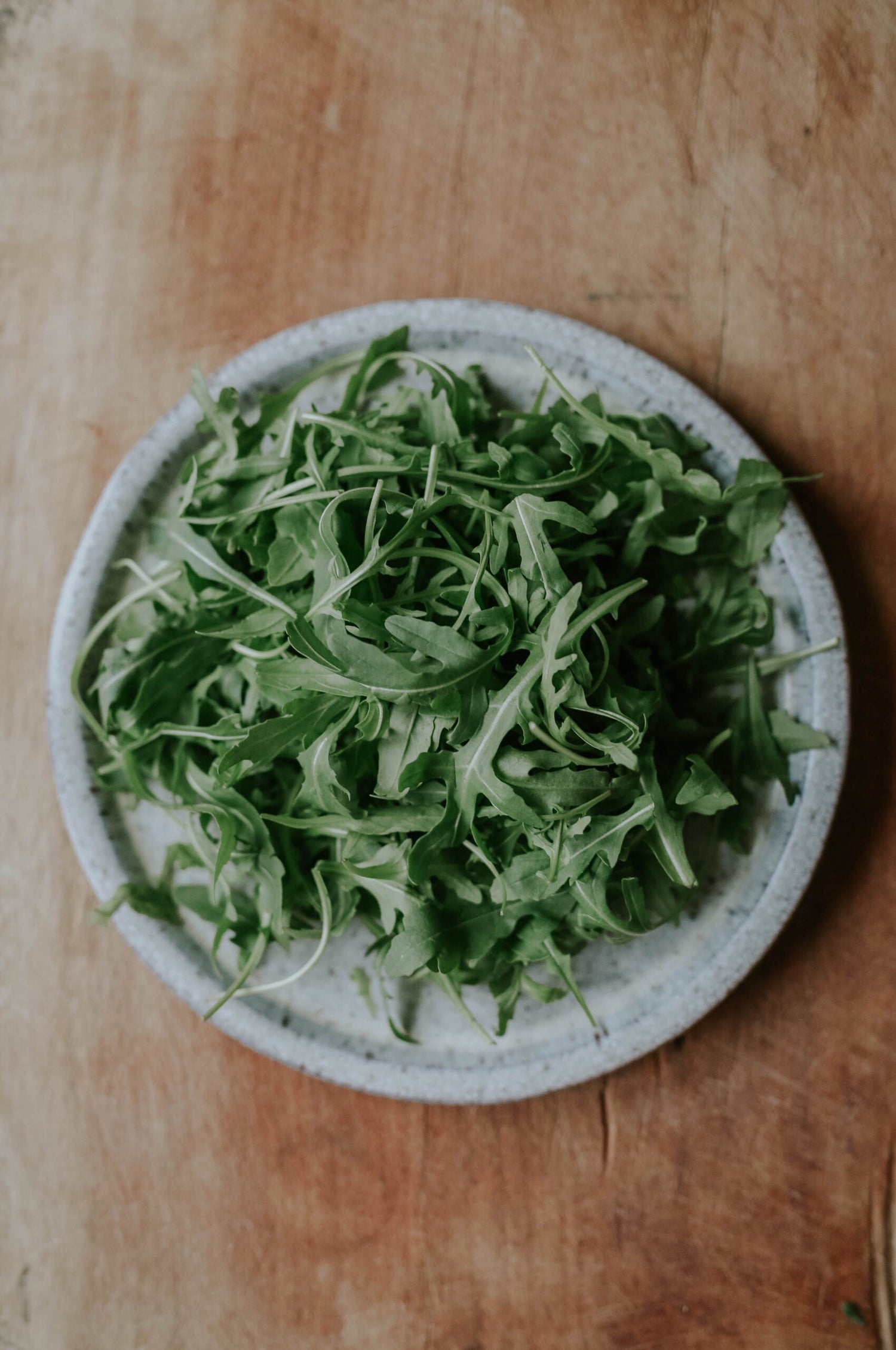 Arugula - Rocket ECO