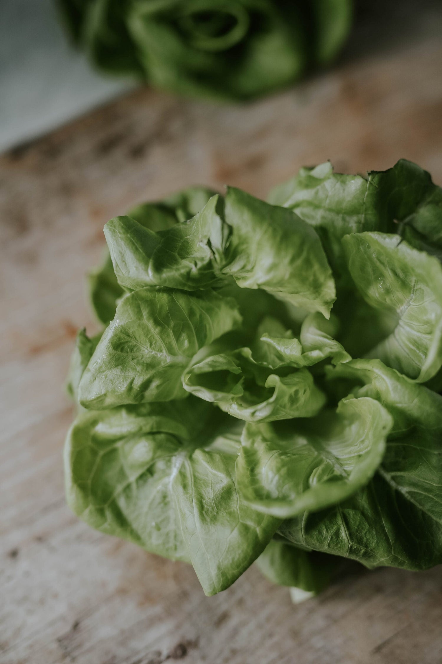 Bindesalat - Little Gem