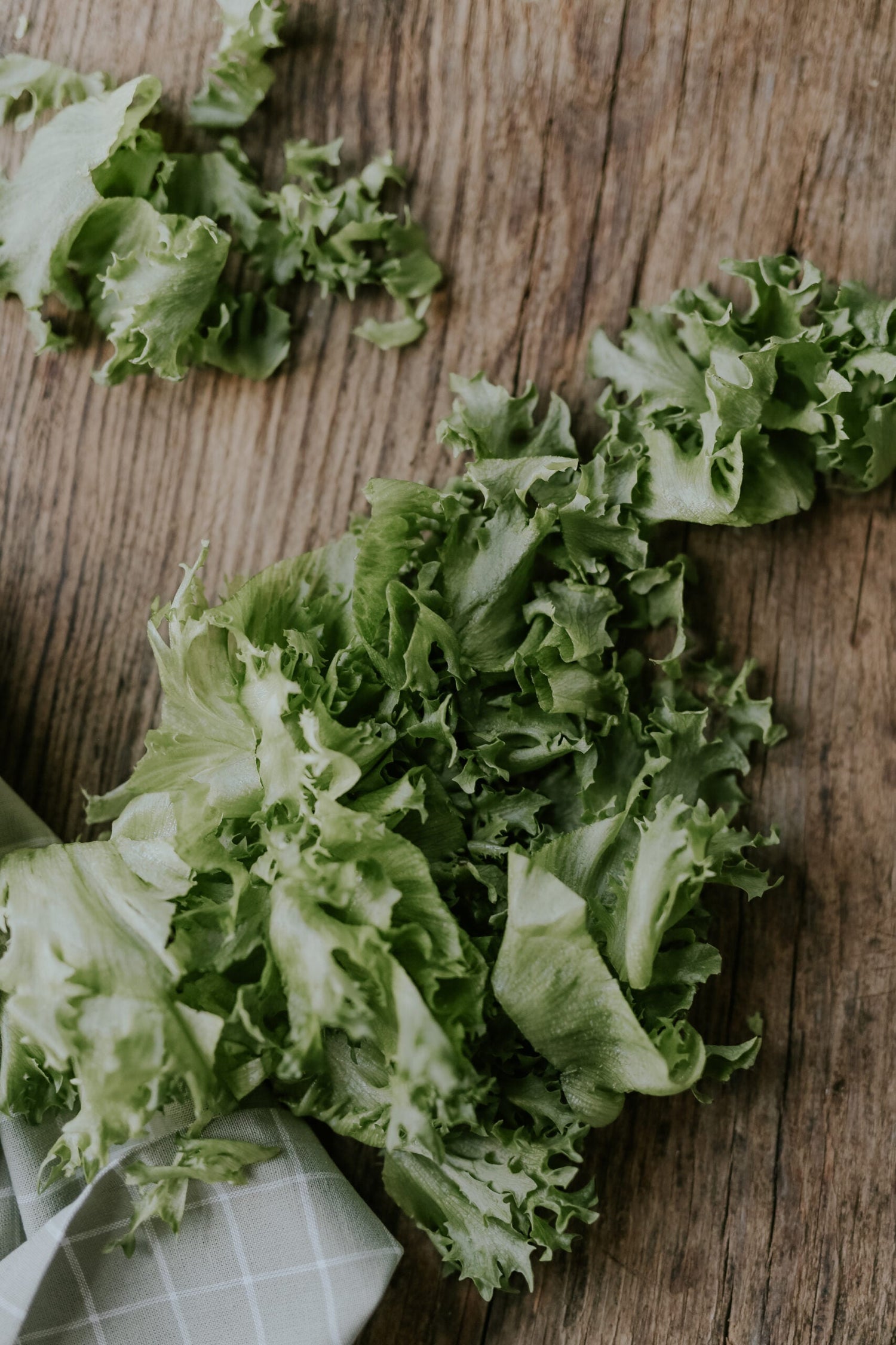 Lettuce - Salad Bowl ECO