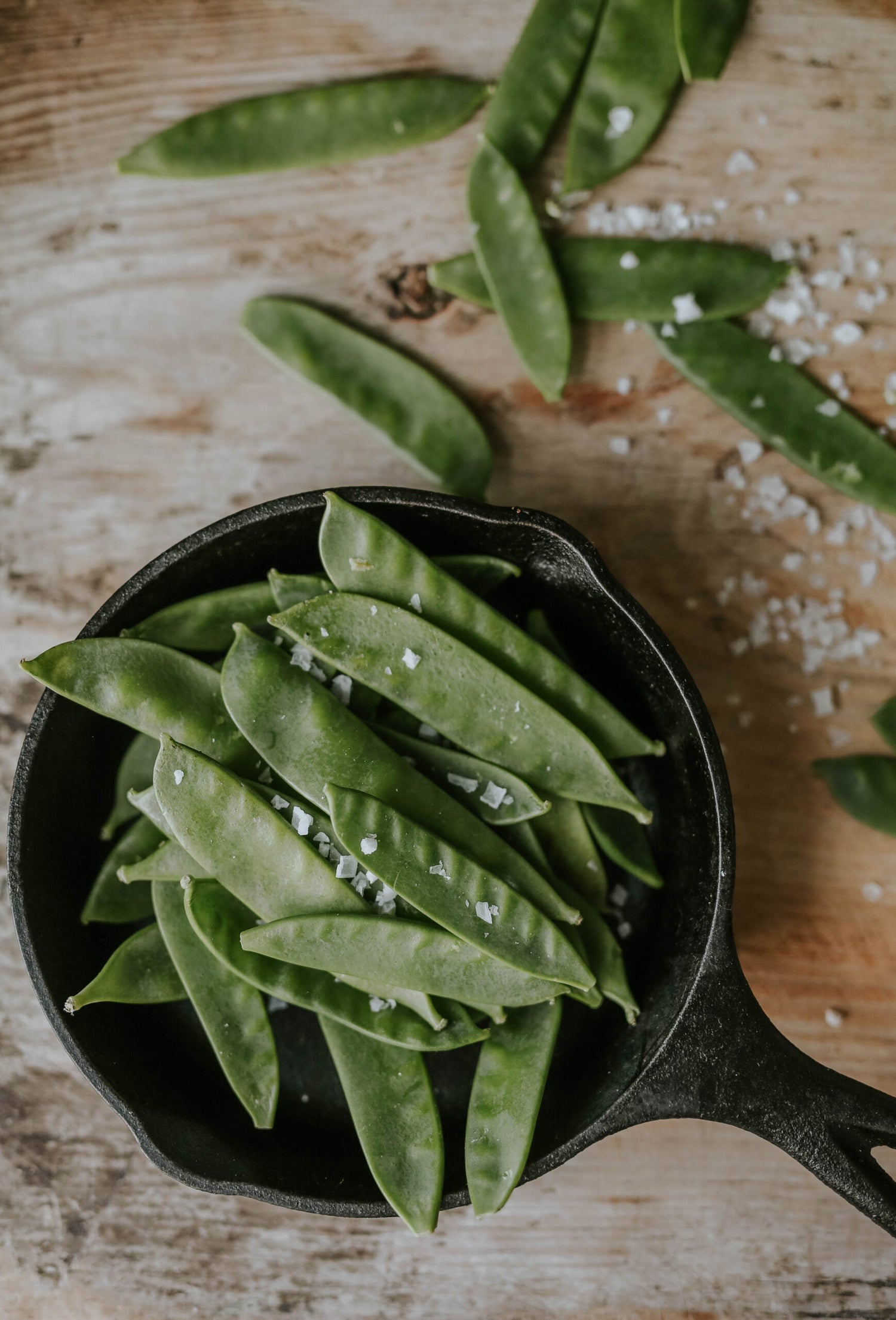 Sockerärt - Oregon Sugar Pod