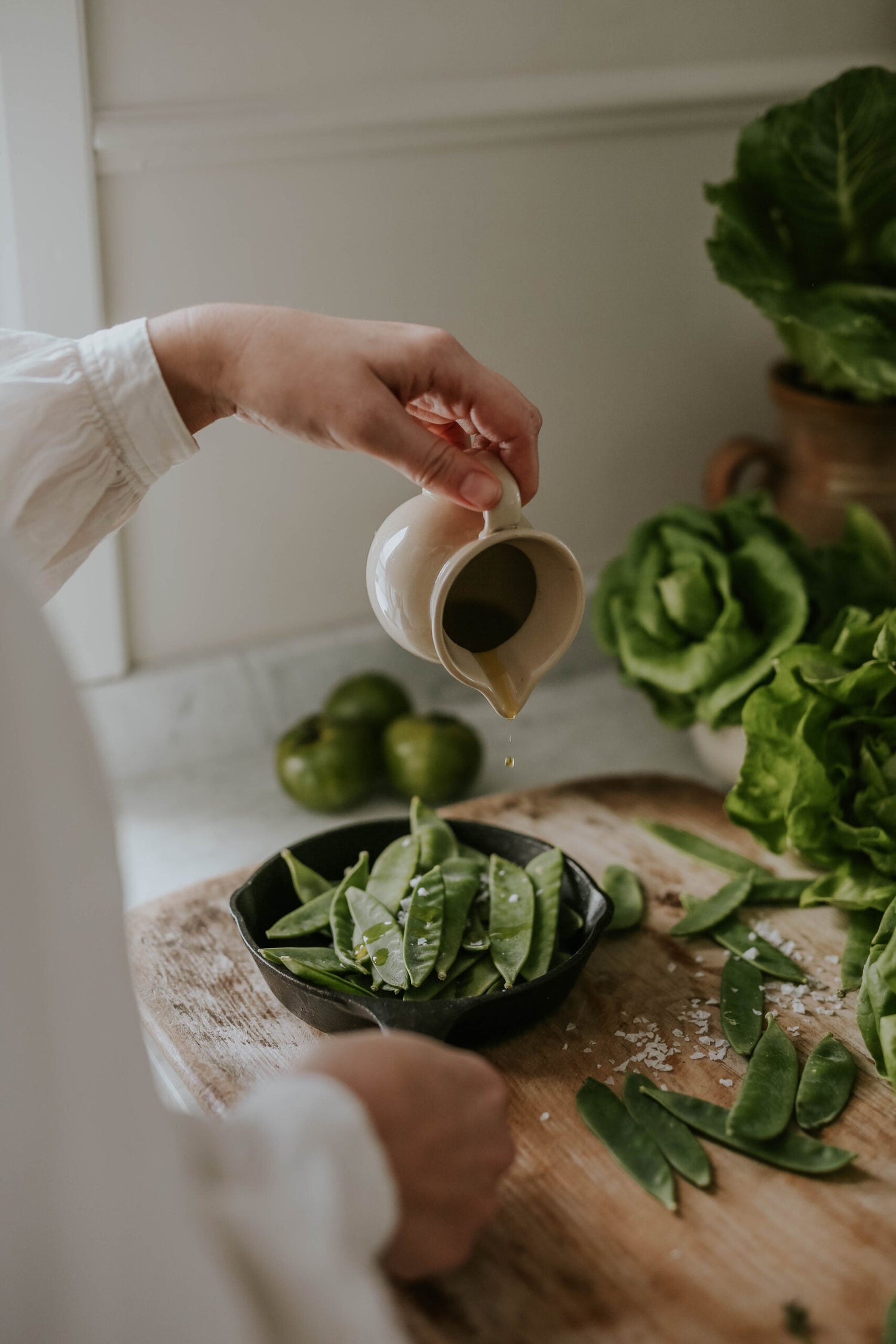 Sockerärt - Oregon Sugar Pod