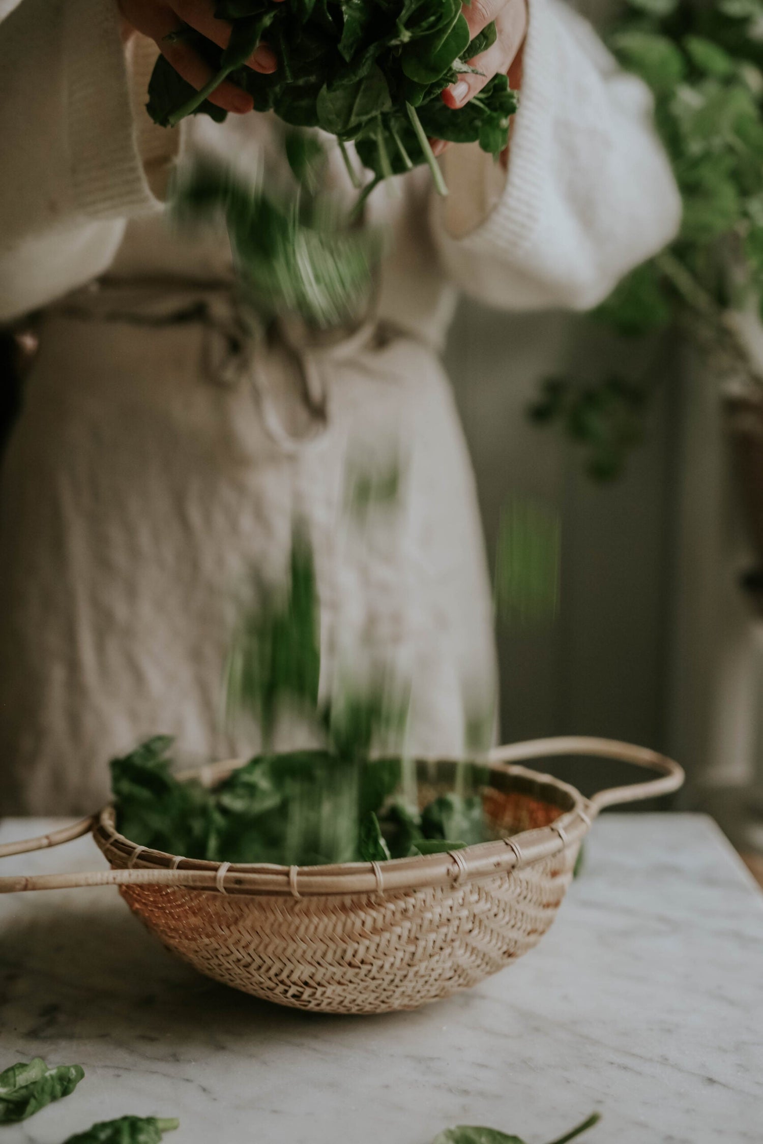 Spinach - Giant Winter