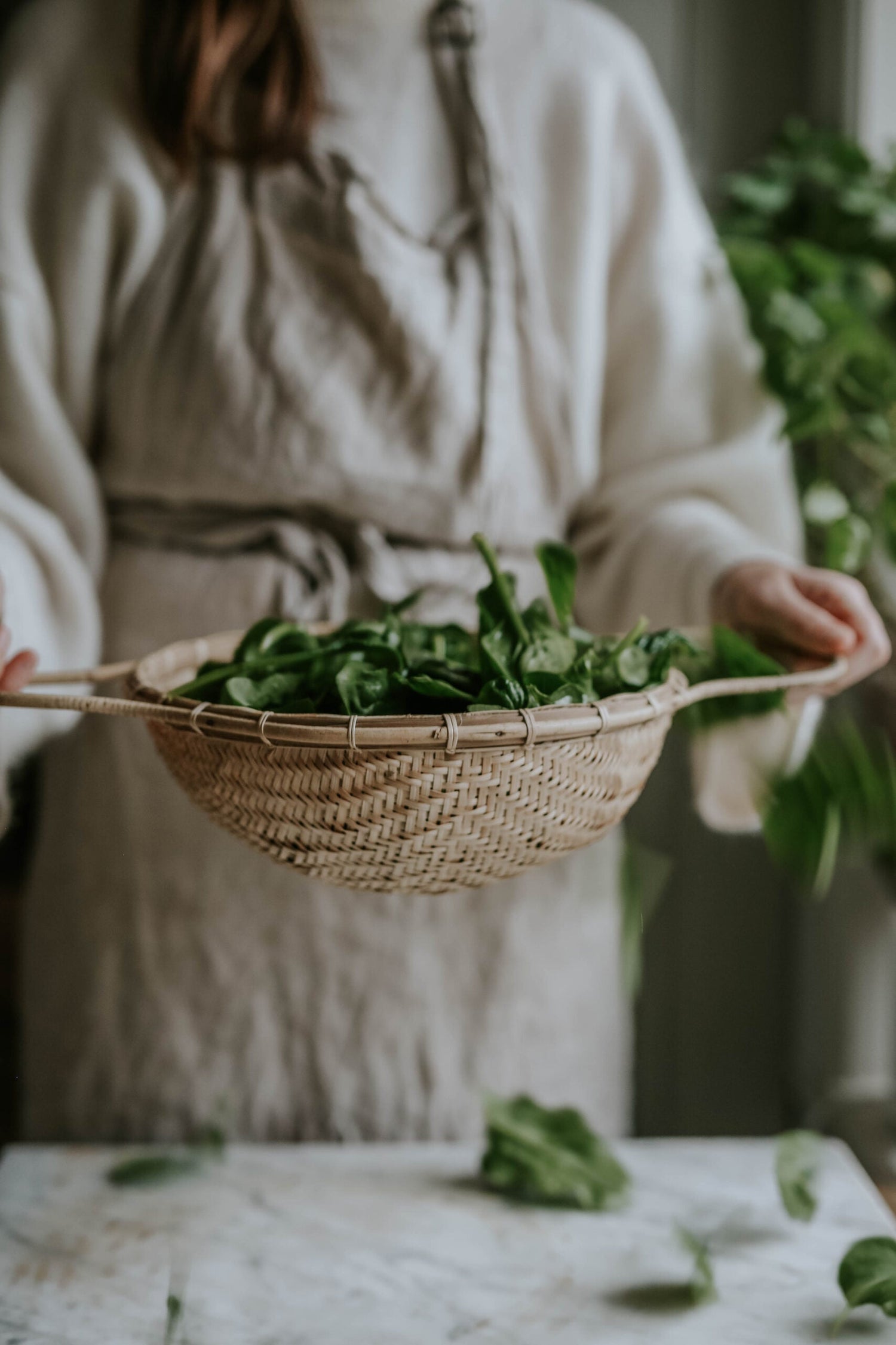 Spinach - Giant Winter