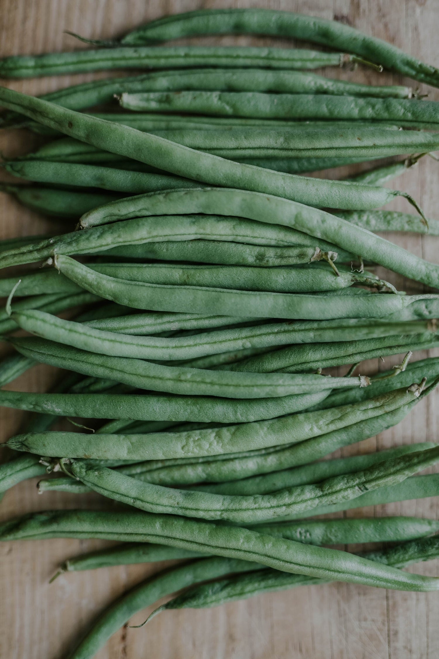 Pole Bean - Neckarkönigin ECO