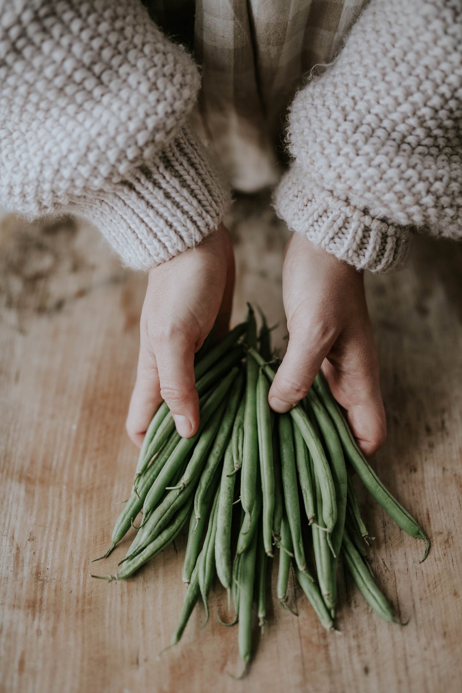 Pole Bean - Neckarkönigin ECO