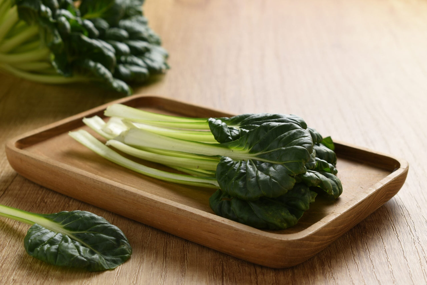 Tatsoi - Japanese Greens