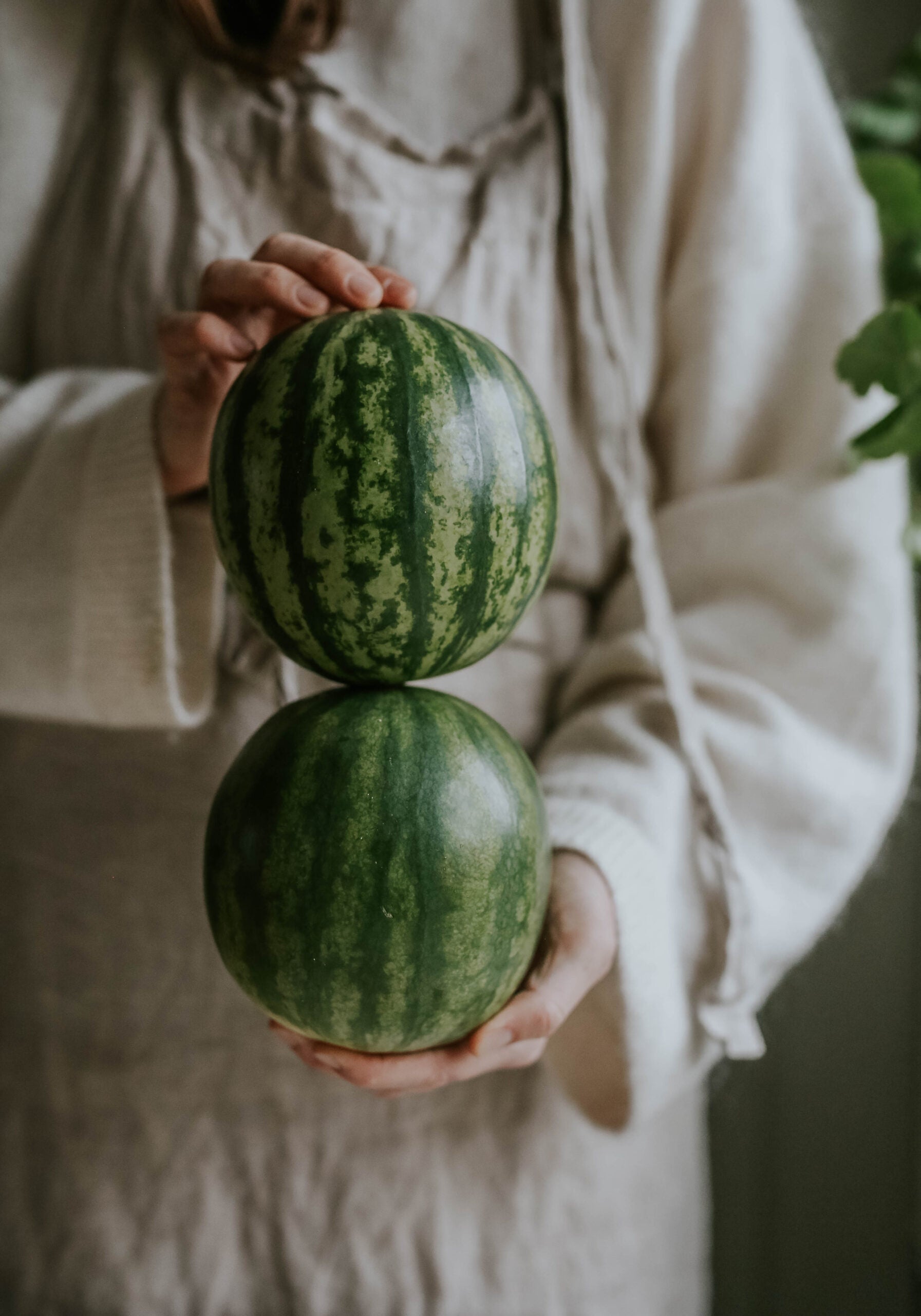 Watermelon seeds - Crimson Sweet
