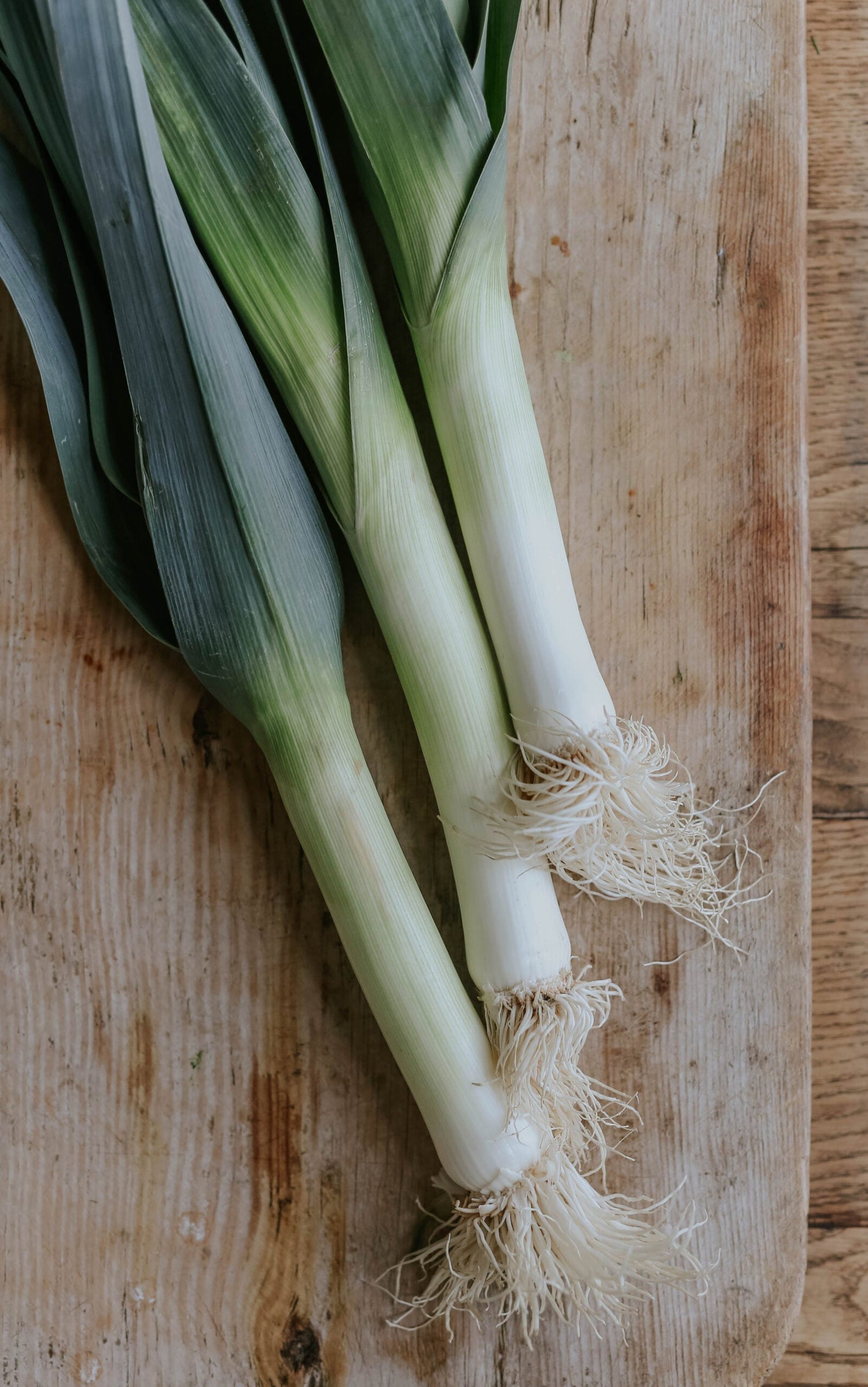 Leek - Herfstreuzen 3