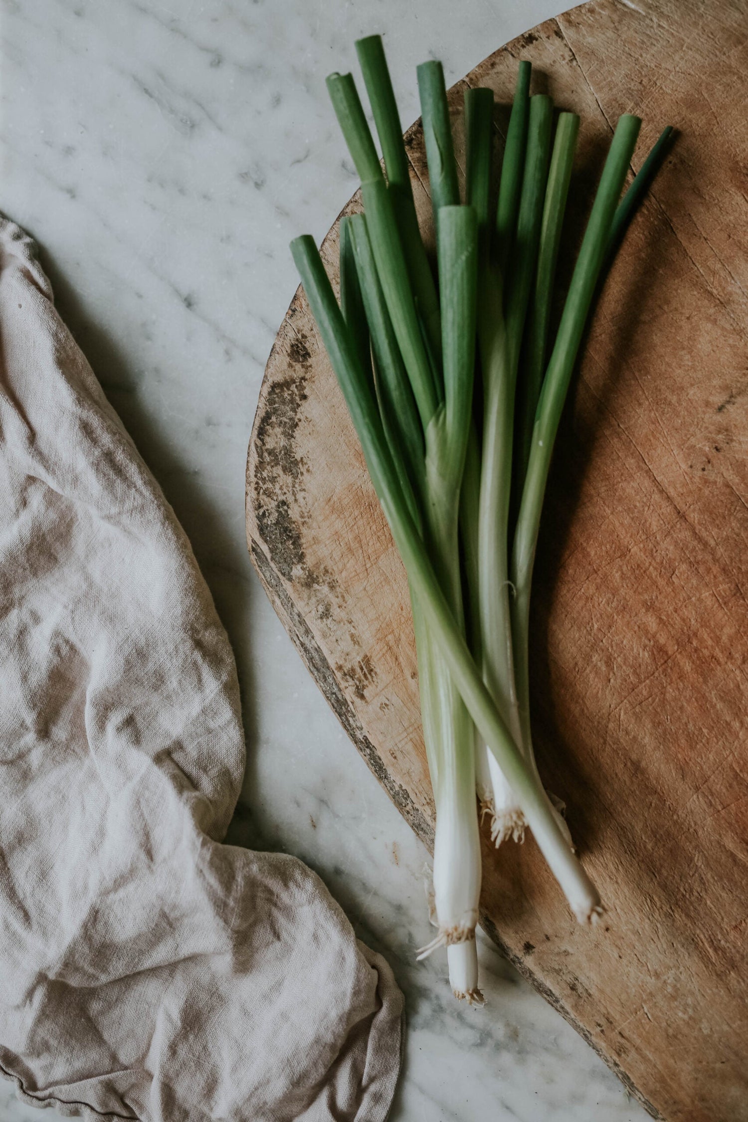 Salladslök - White Lisbon EKO