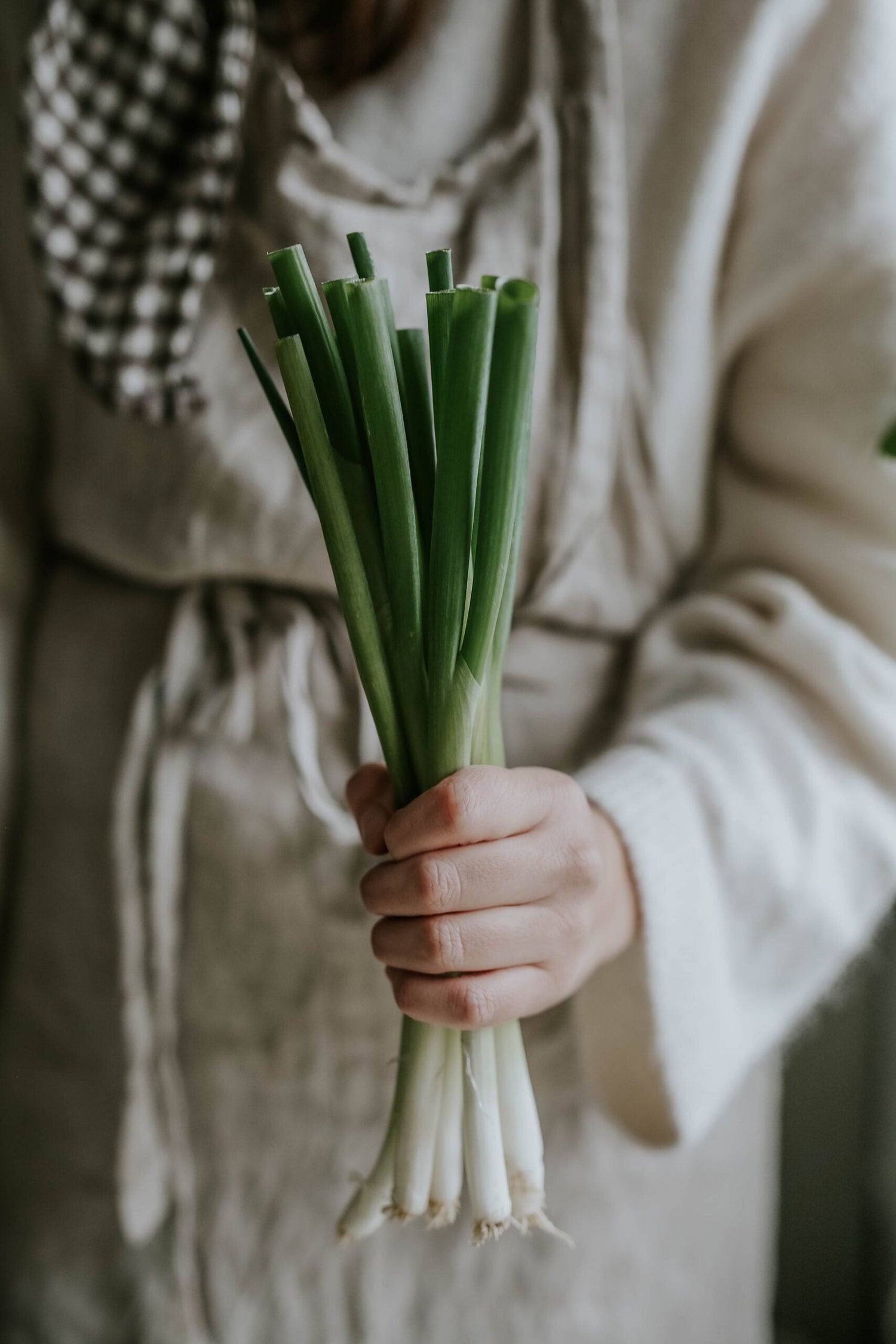 Spring Onion - White Lisbon ECO