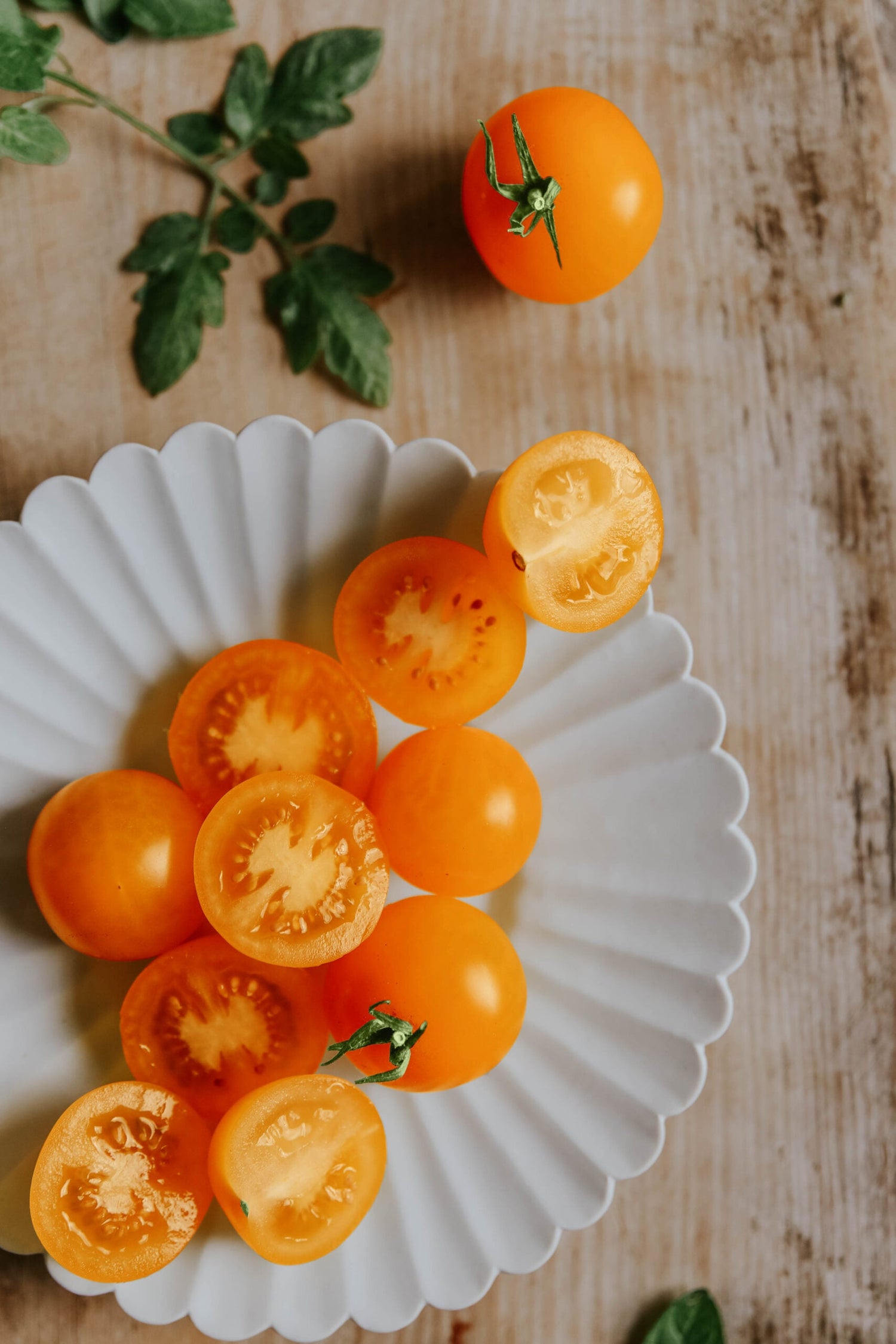 Kirschtomate - Sungold F1