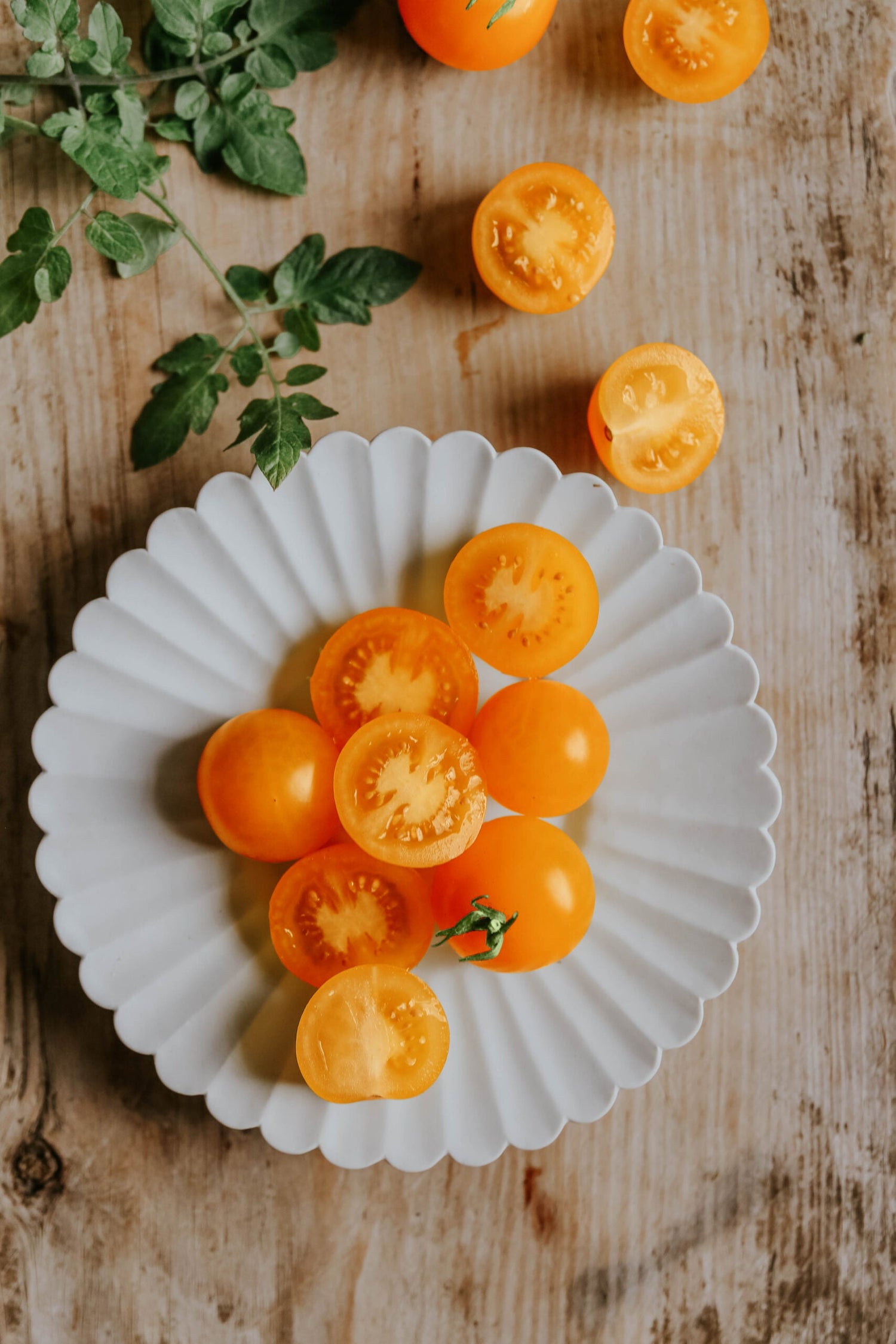 Kirschtomate - Sungold F1