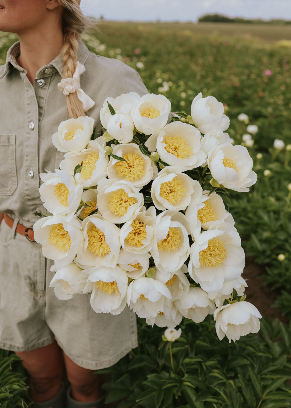 Pfingstrose - Jan Van Leeuwen