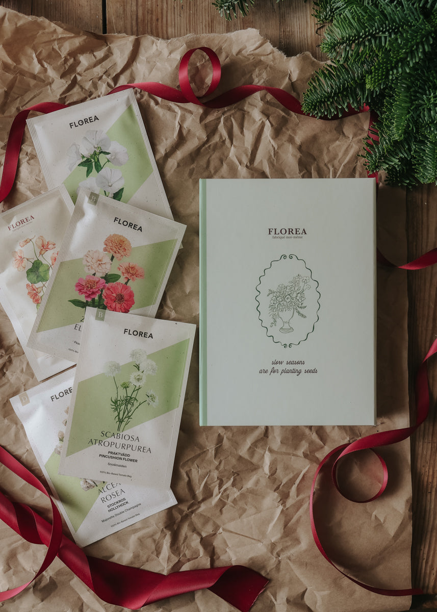 Christmas Gift – Floral Splendour