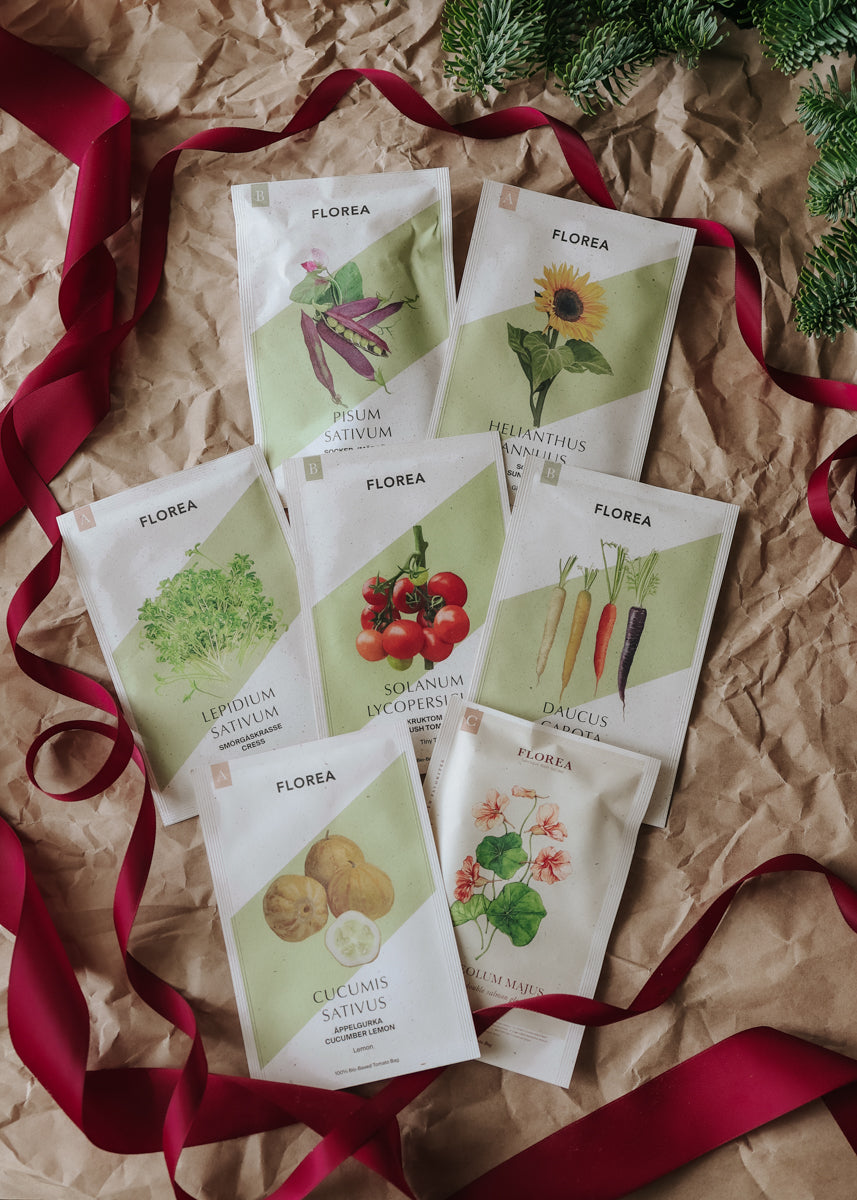 Gardening with kids – Garden Patrol