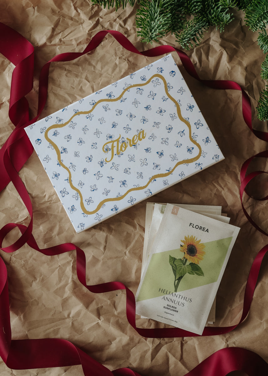 Gardening with kids – Garden Patrol