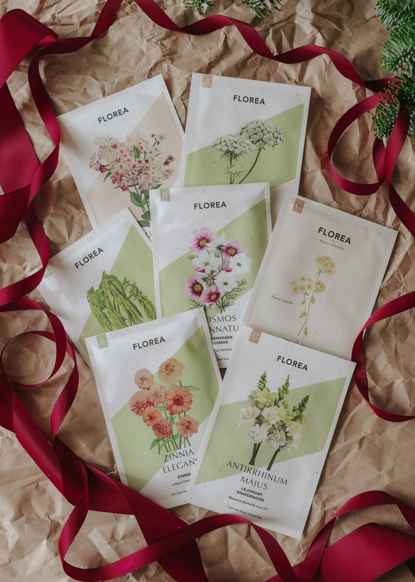 Christmas Gift – Cut Flower Growing