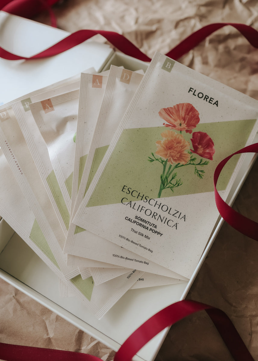 Christmas Gift – Summer Flowers