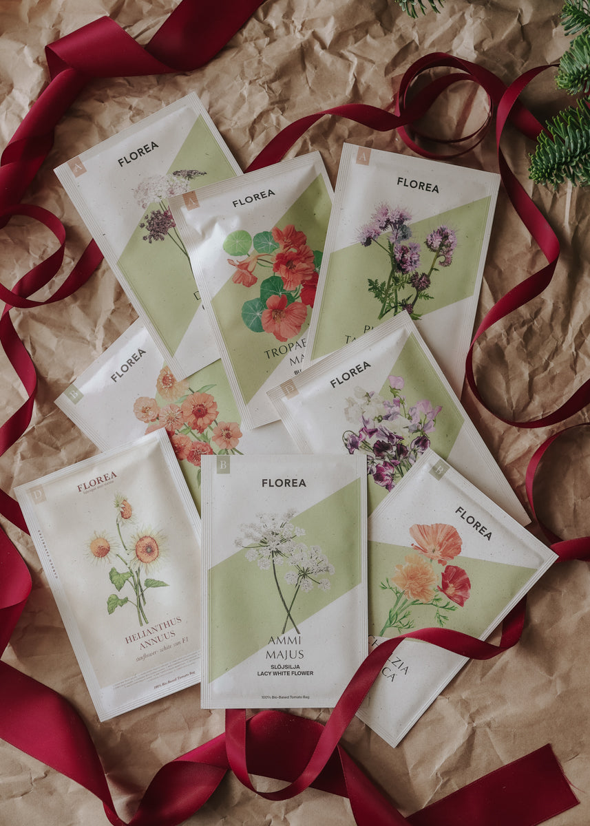 Christmas Gift – Summer Flowers