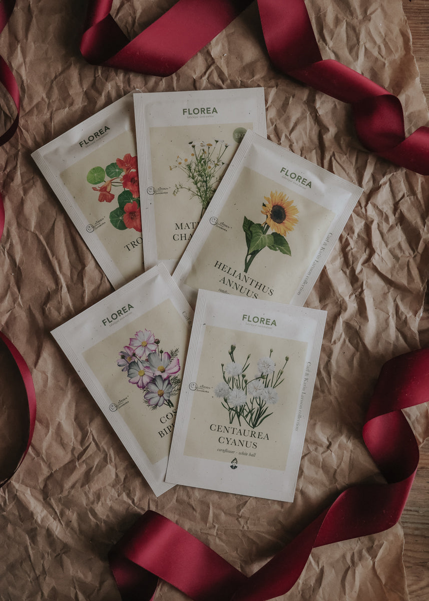 Karin Larsson Blumenbeet