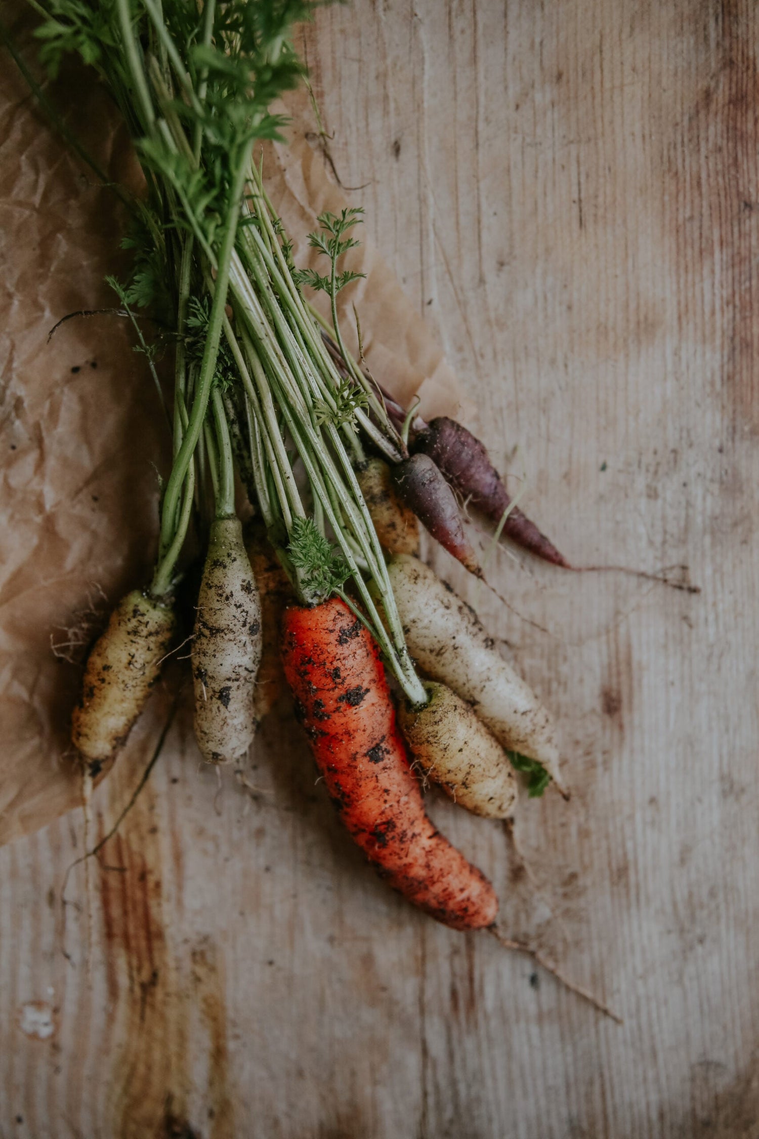 Carrot - Rainbow Mix F1