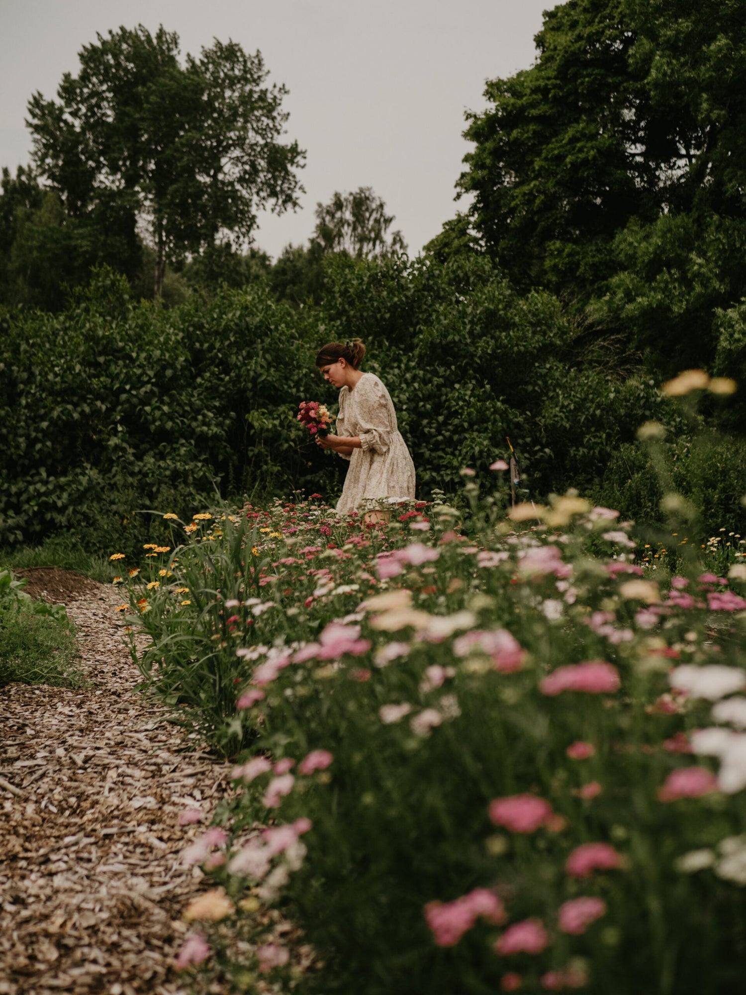 Ängsblandning - Bee Mixture EKO