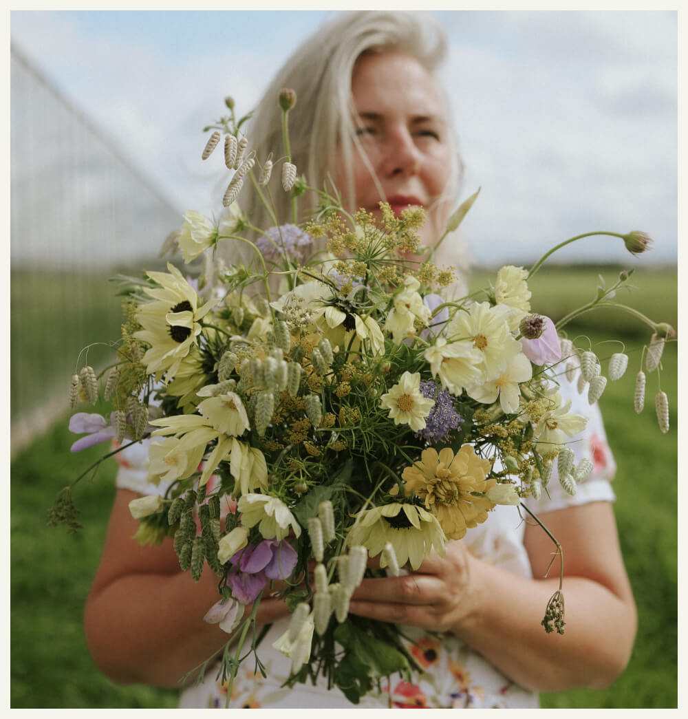 Fröpaket - Hanna Wendelbo kollektion