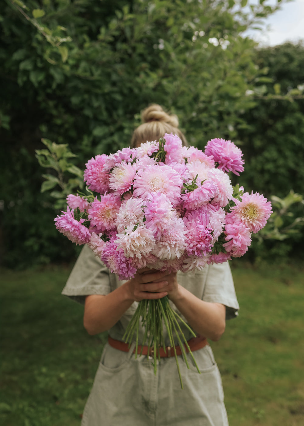 Aster - King Size Appleblossom