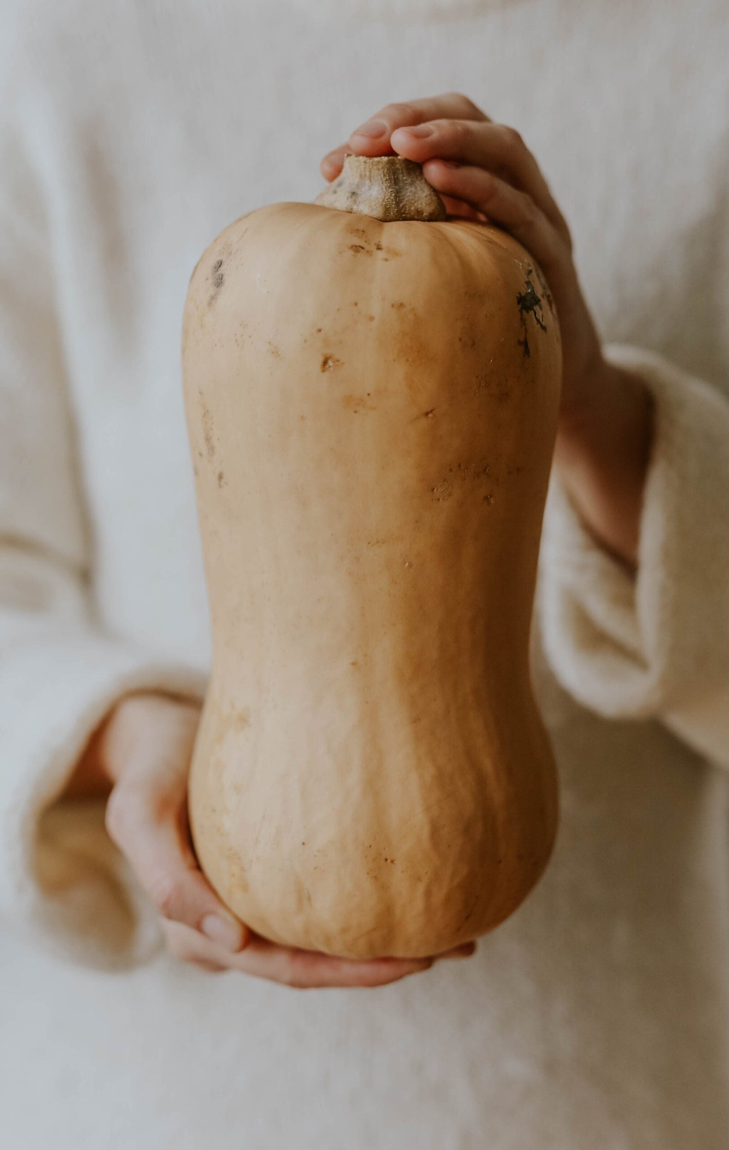 Butternut Squash - Waltham Butternut ECO