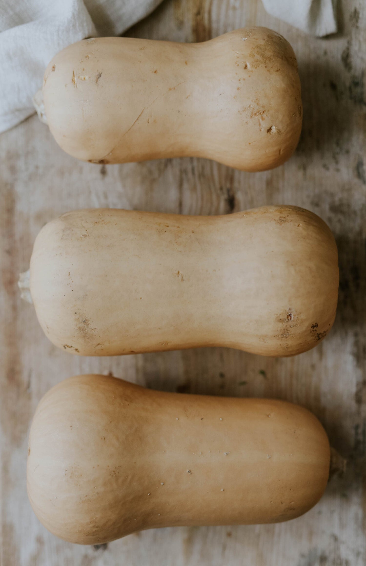 Butternut Squash - Waltham Butternut ECO