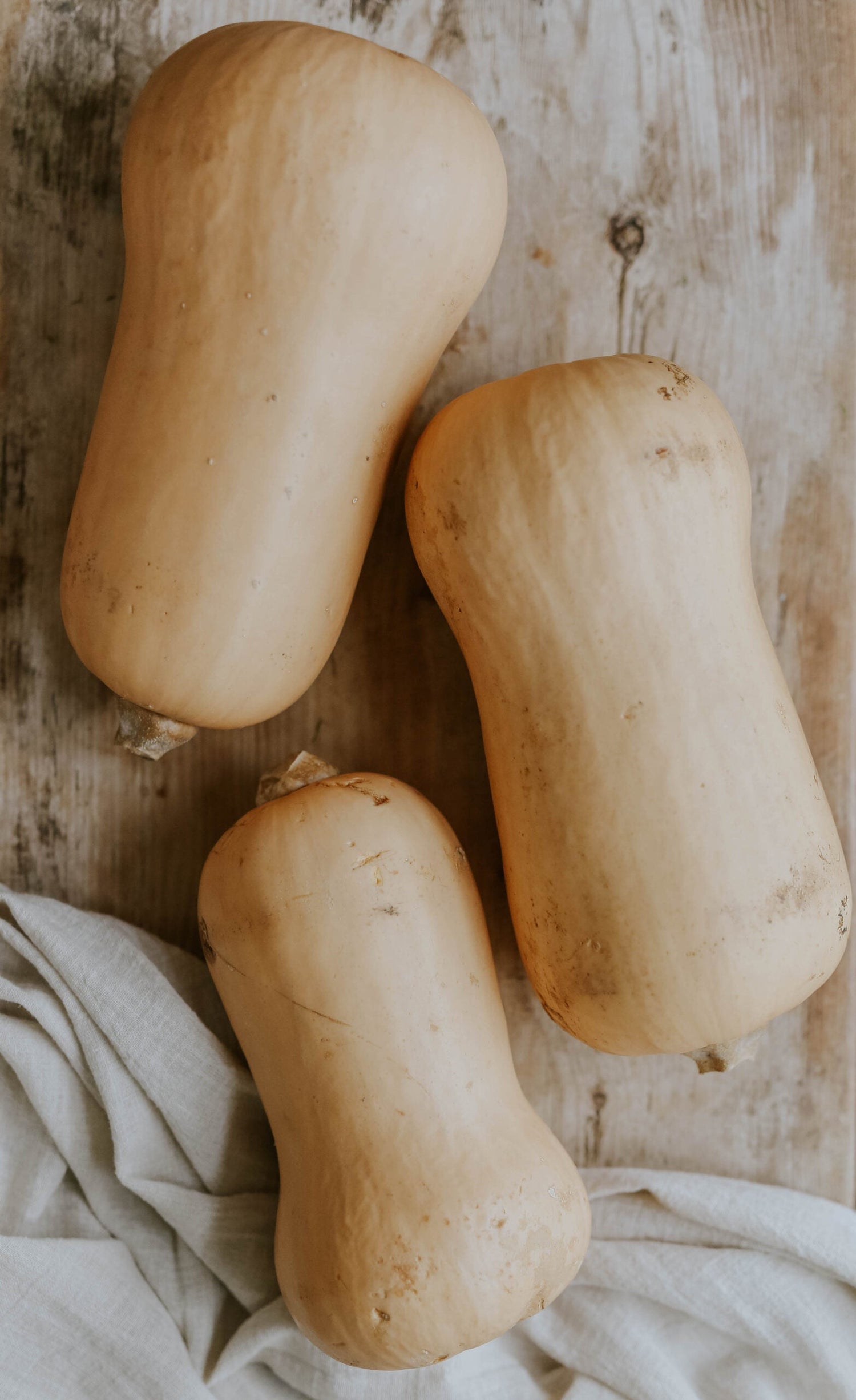 Myskpumpa / Vintersquash - Waltham Butternut EKO