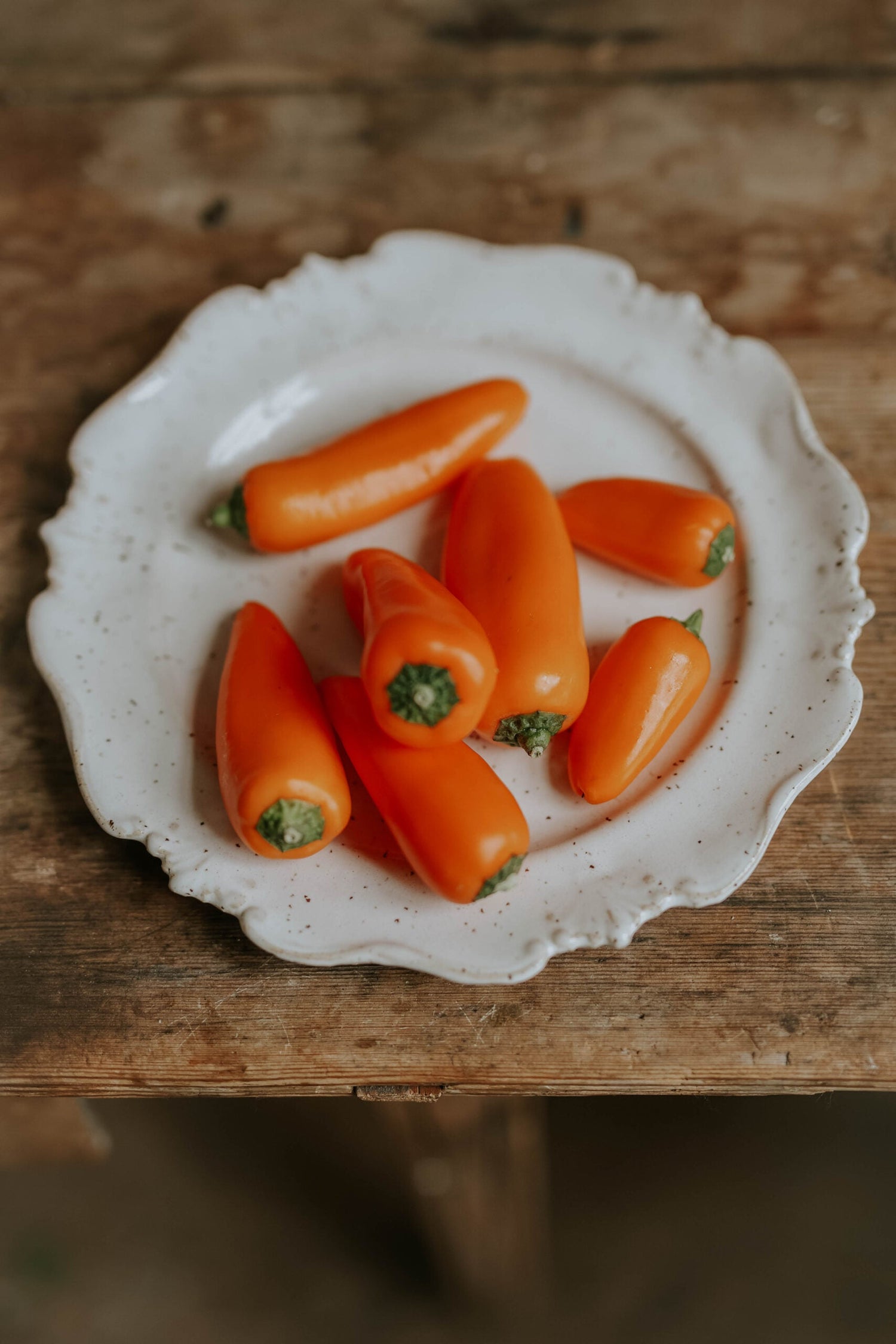 Snackpaprika - Flynn EKO